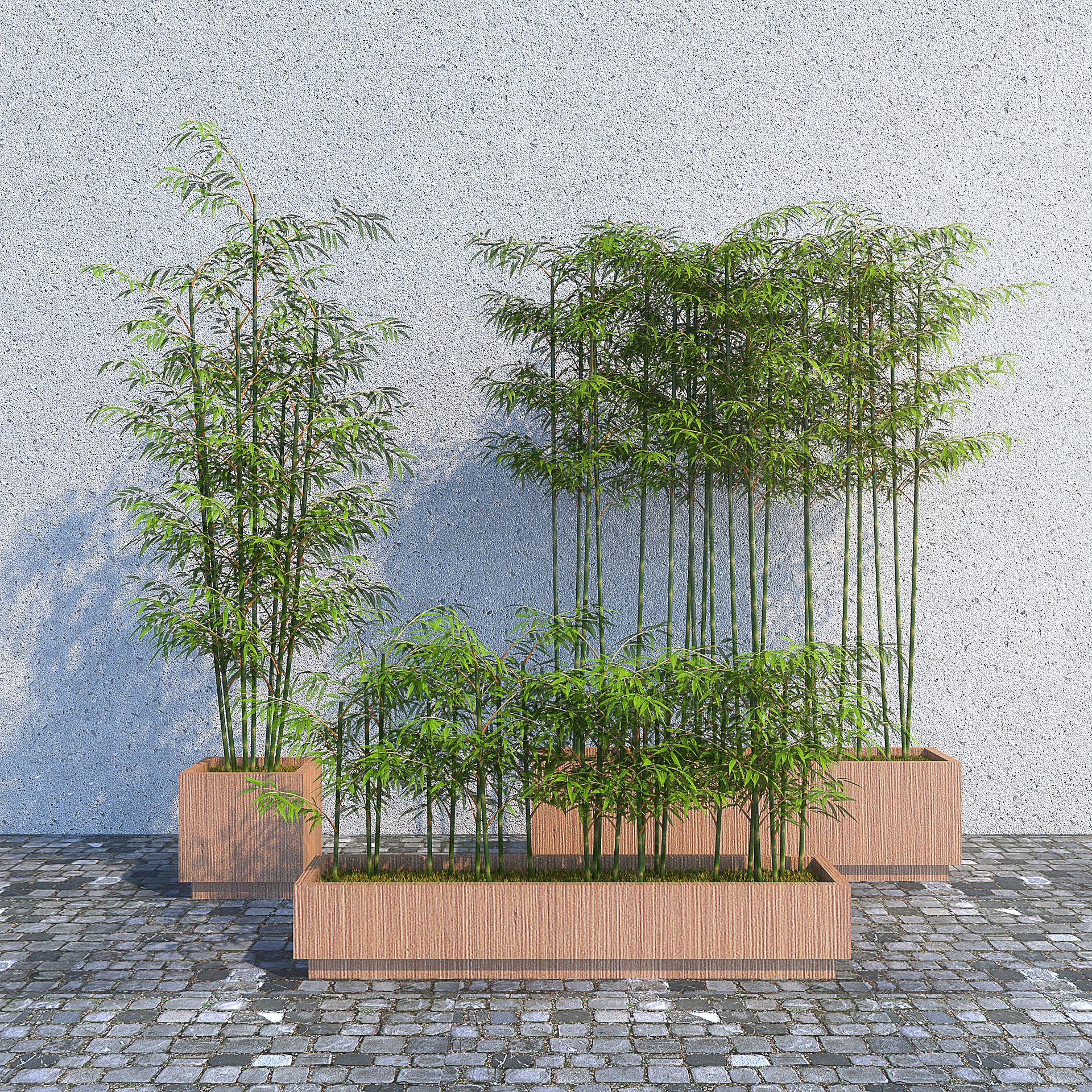 景观竹罗汉竹翠竹园林小品3D模型