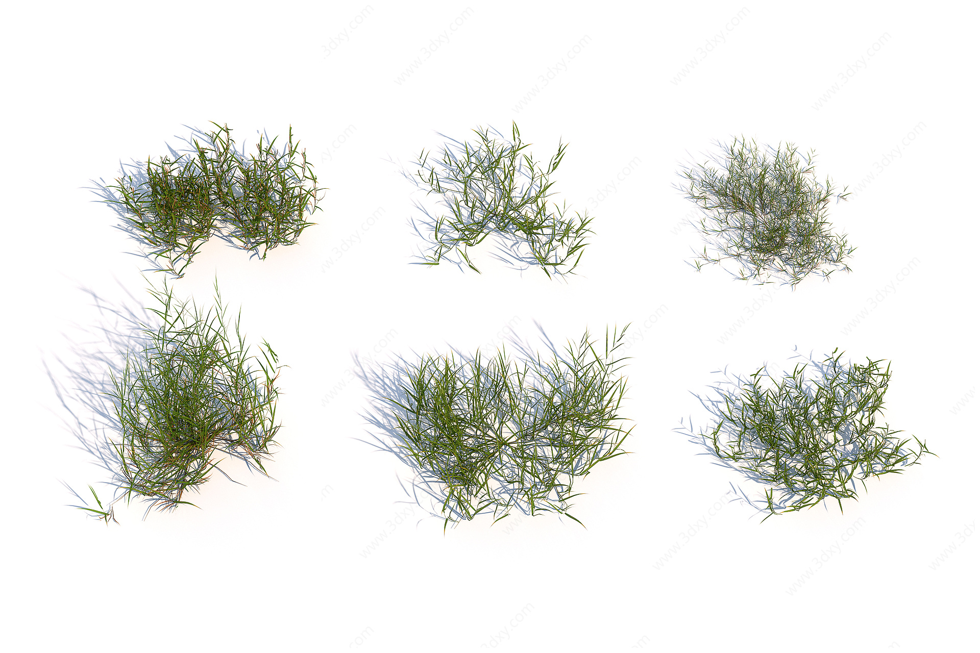 草地植物3D模型