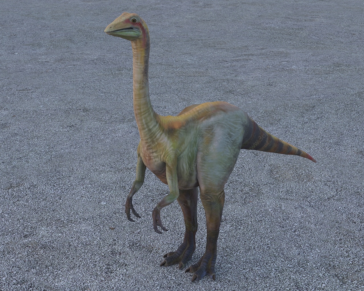 古似鸟龙恐龙3D模型