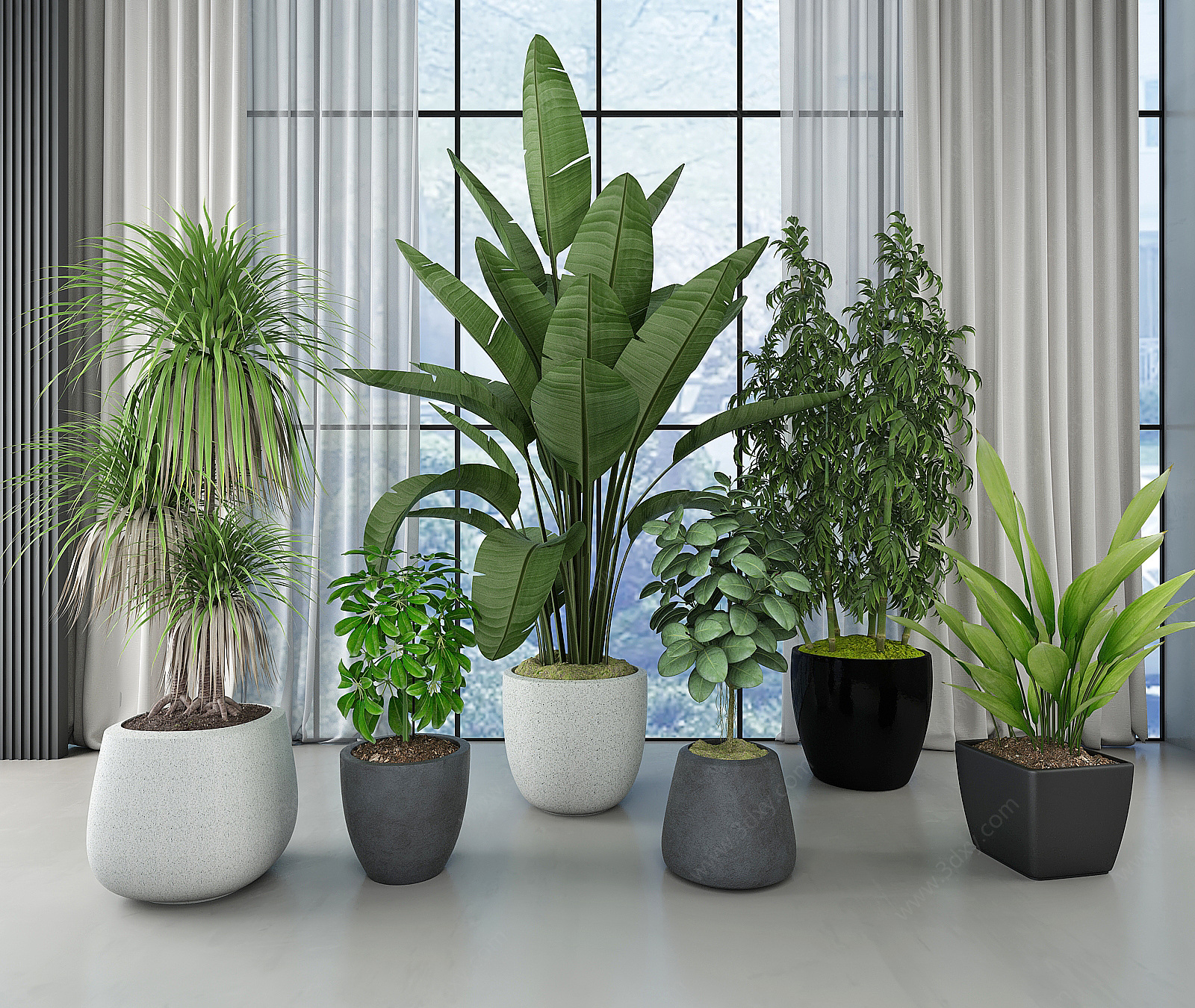 现代盆栽绿植组合3D模型