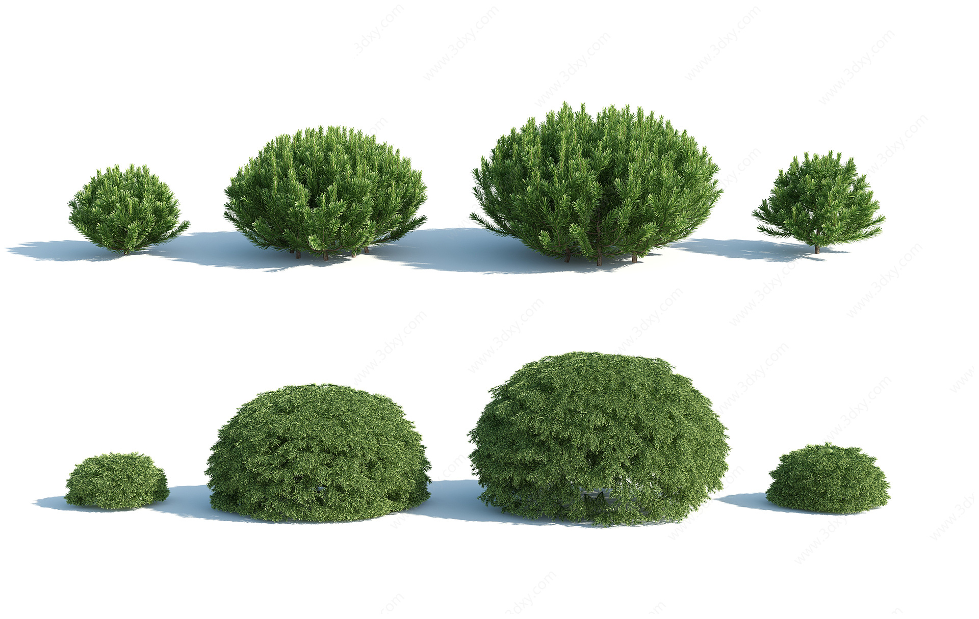 现代灌木花园植物园林植物3D模型