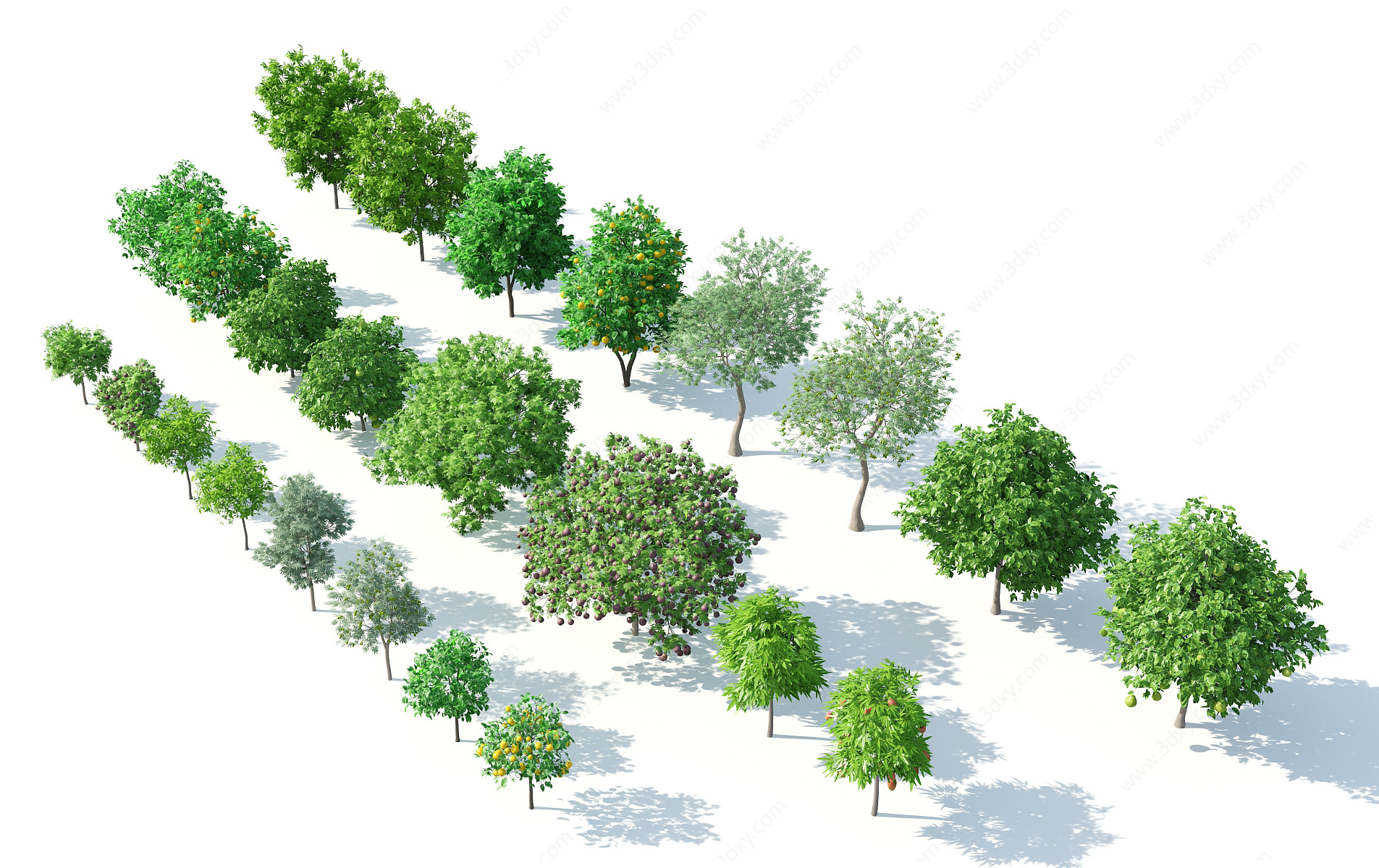 树木树木组合果树3D模型