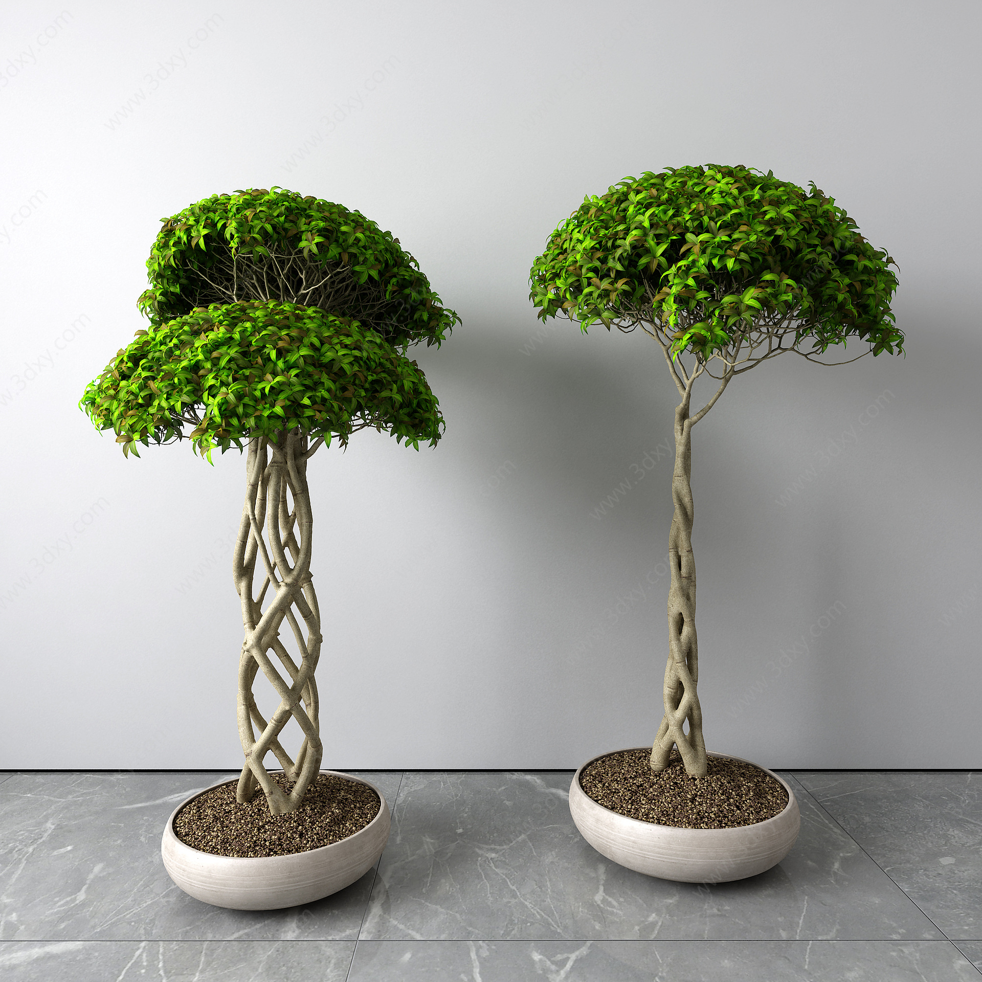 盆栽发财树3D模型