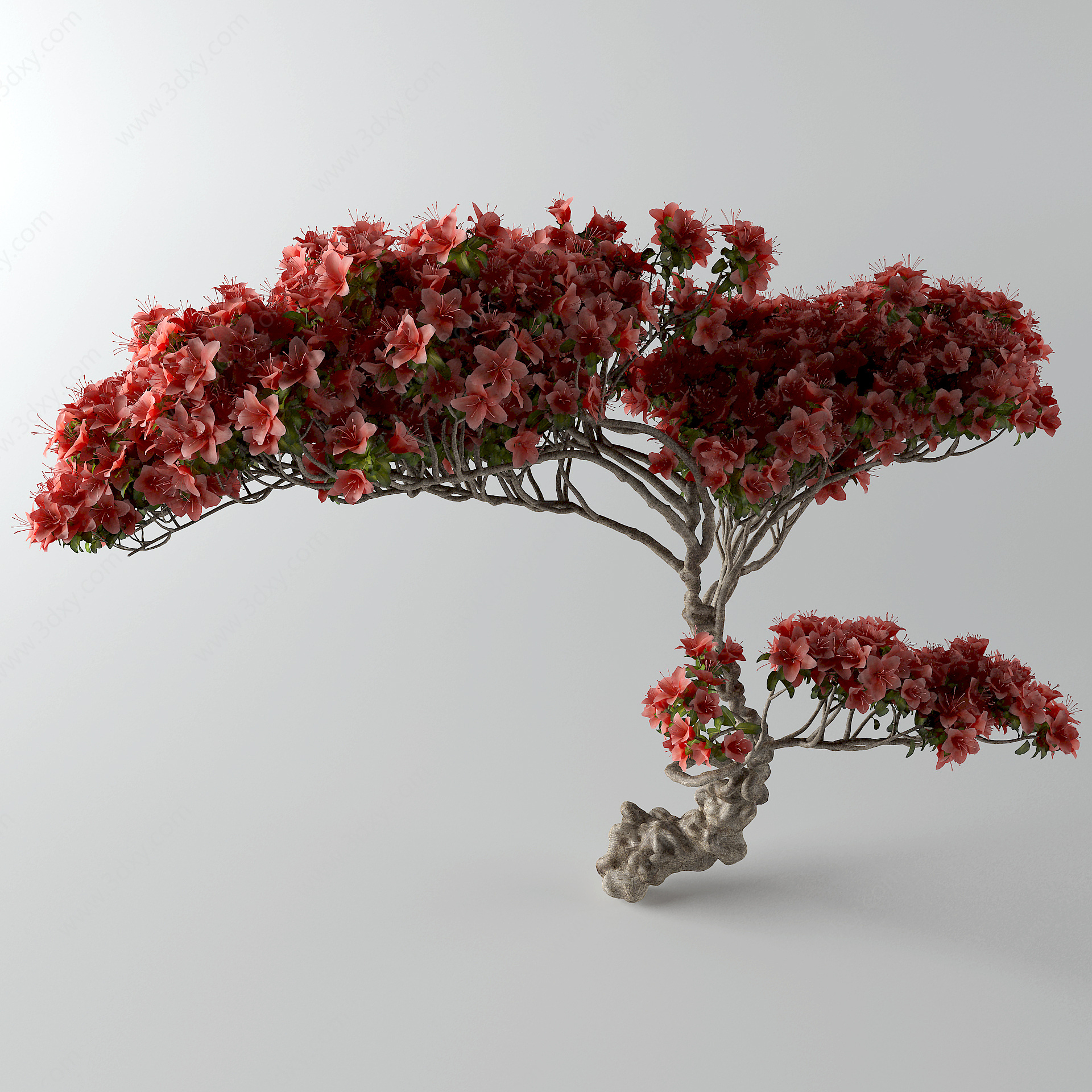 现代樱花树3D模型