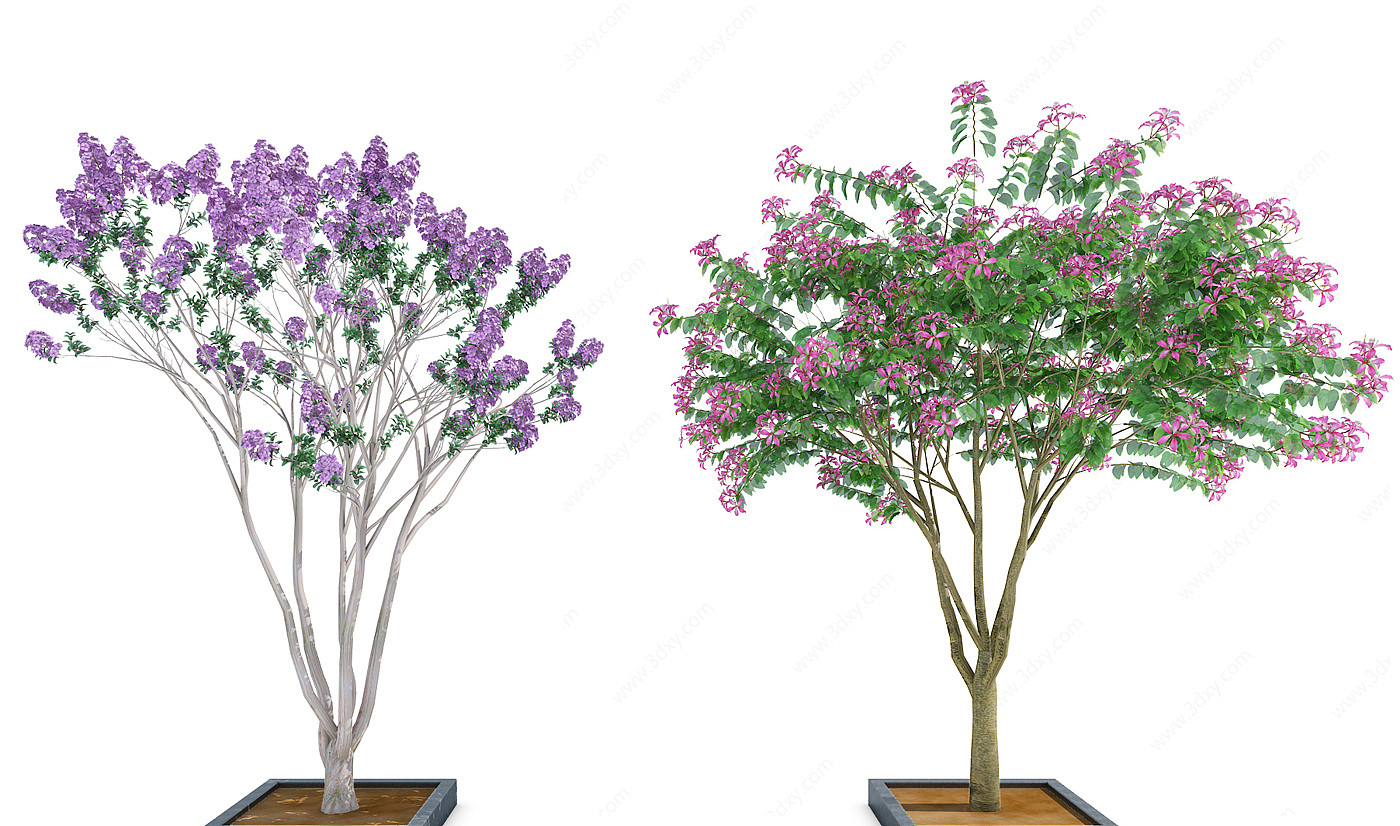 现代室外绿植树3D模型
