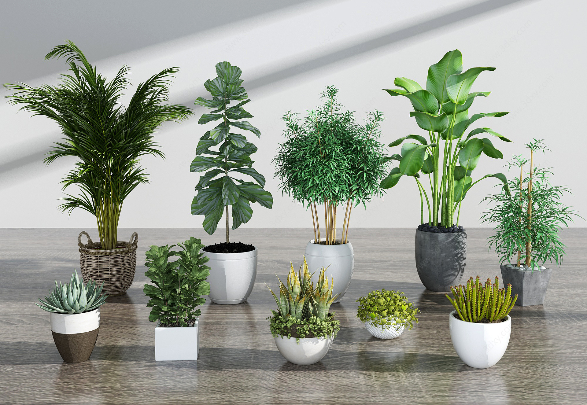 现代绿植盆栽组合3D模型