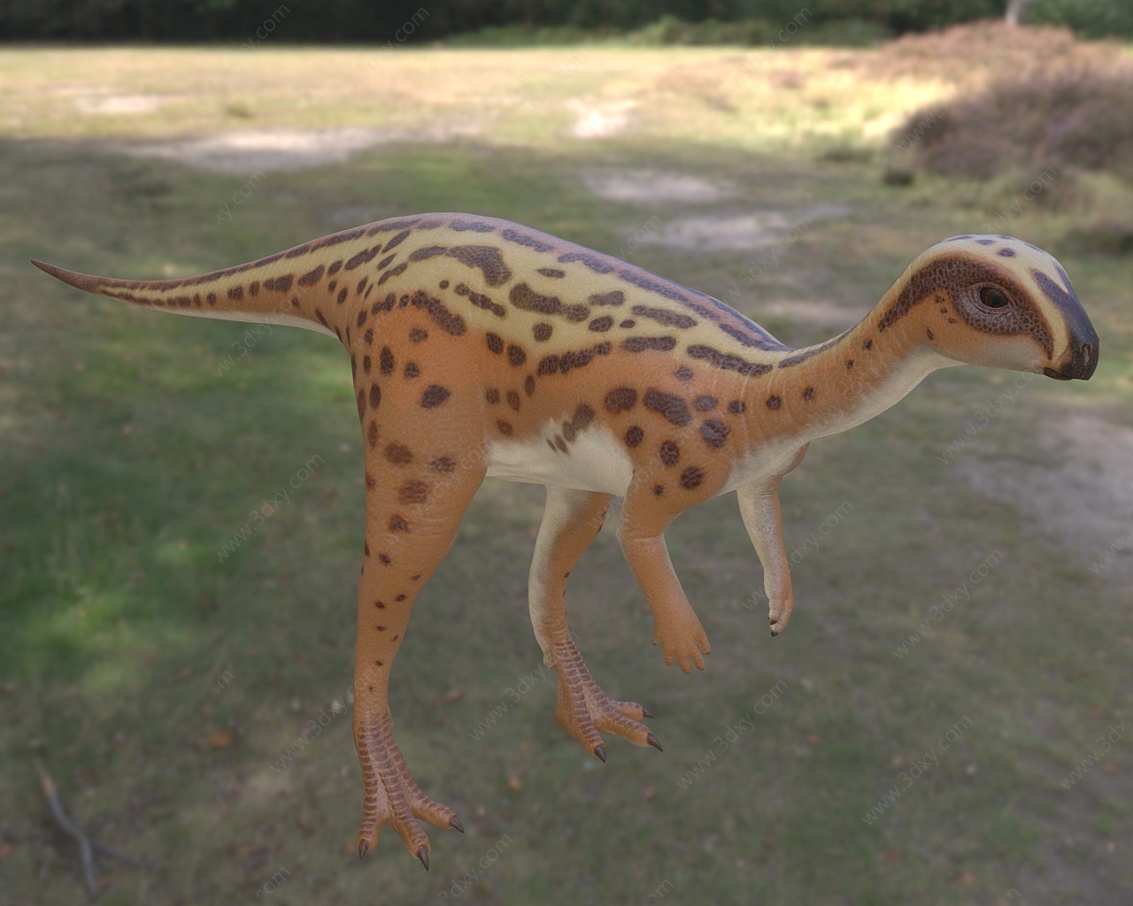 侏罗纪晚期食草性恐龙3D模型