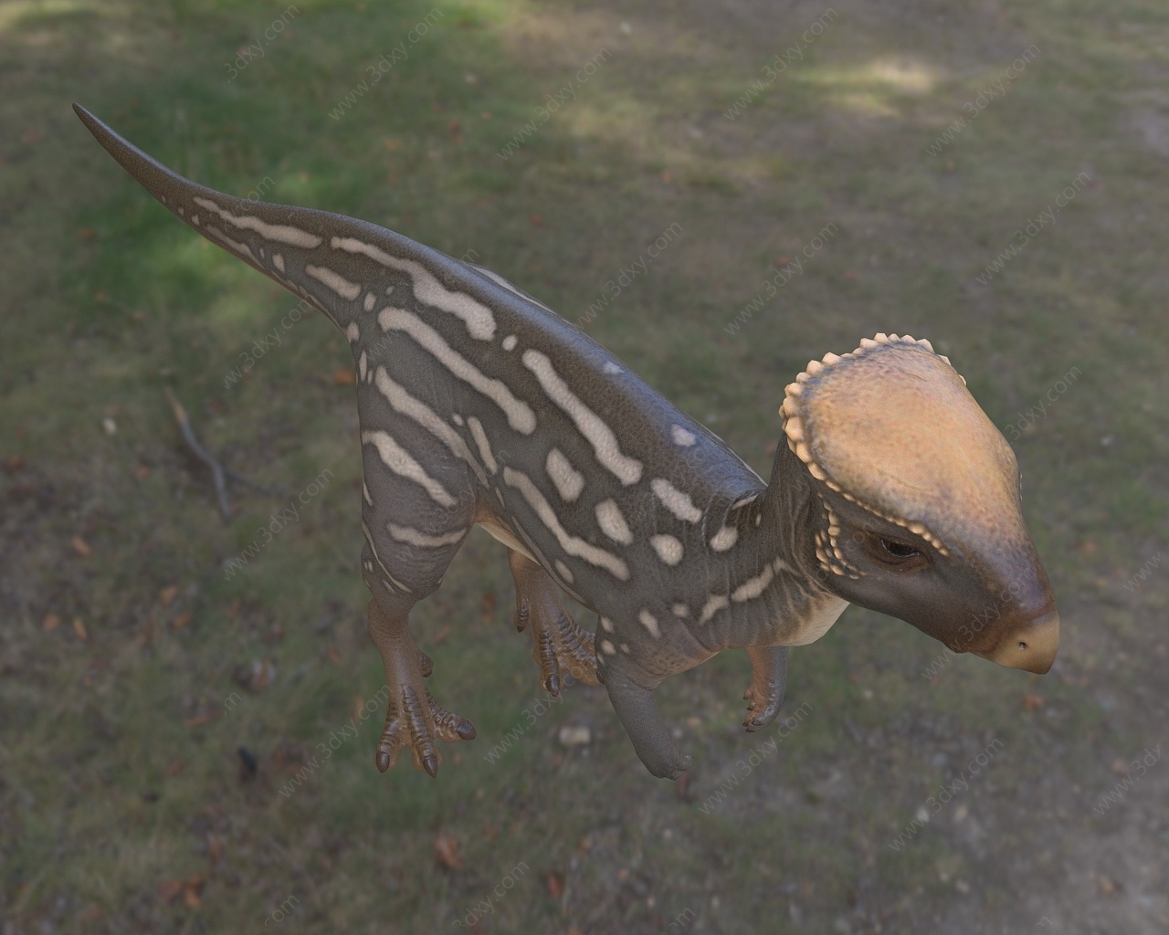 平头龙灭绝恐龙3D模型