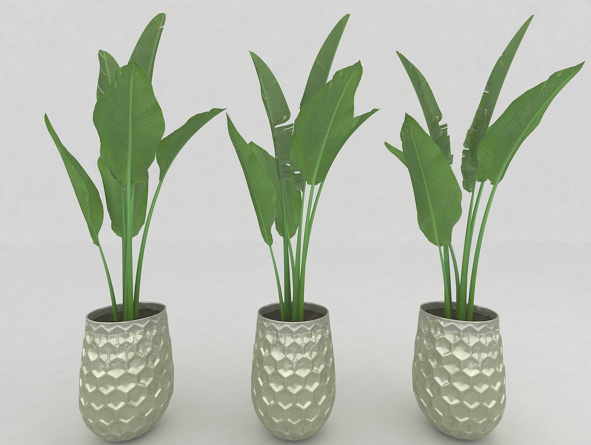 现代风格植物盆栽3D模型