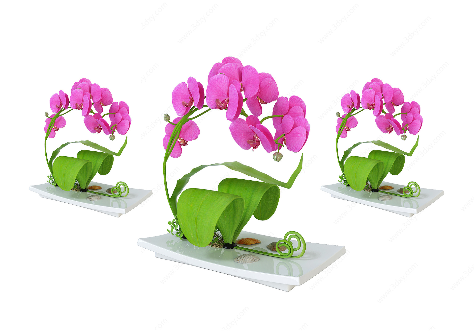 现代蝴蝶兰花3D模型