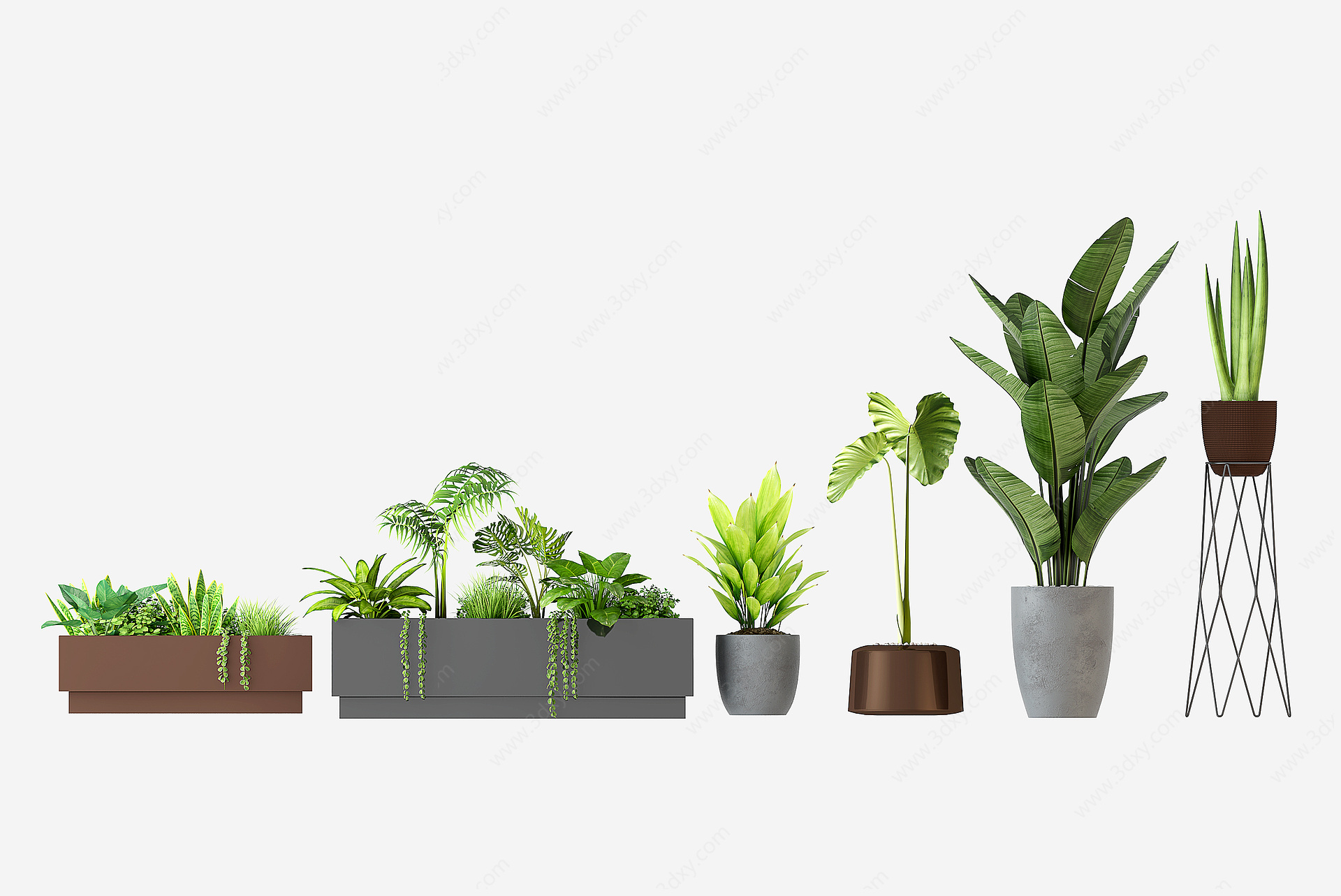 现代植物绿植室内家居盆栽3D模型