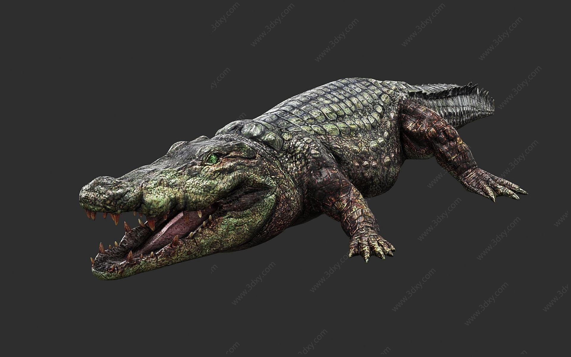 野生凶猛爬行动物鳄鱼3D模型