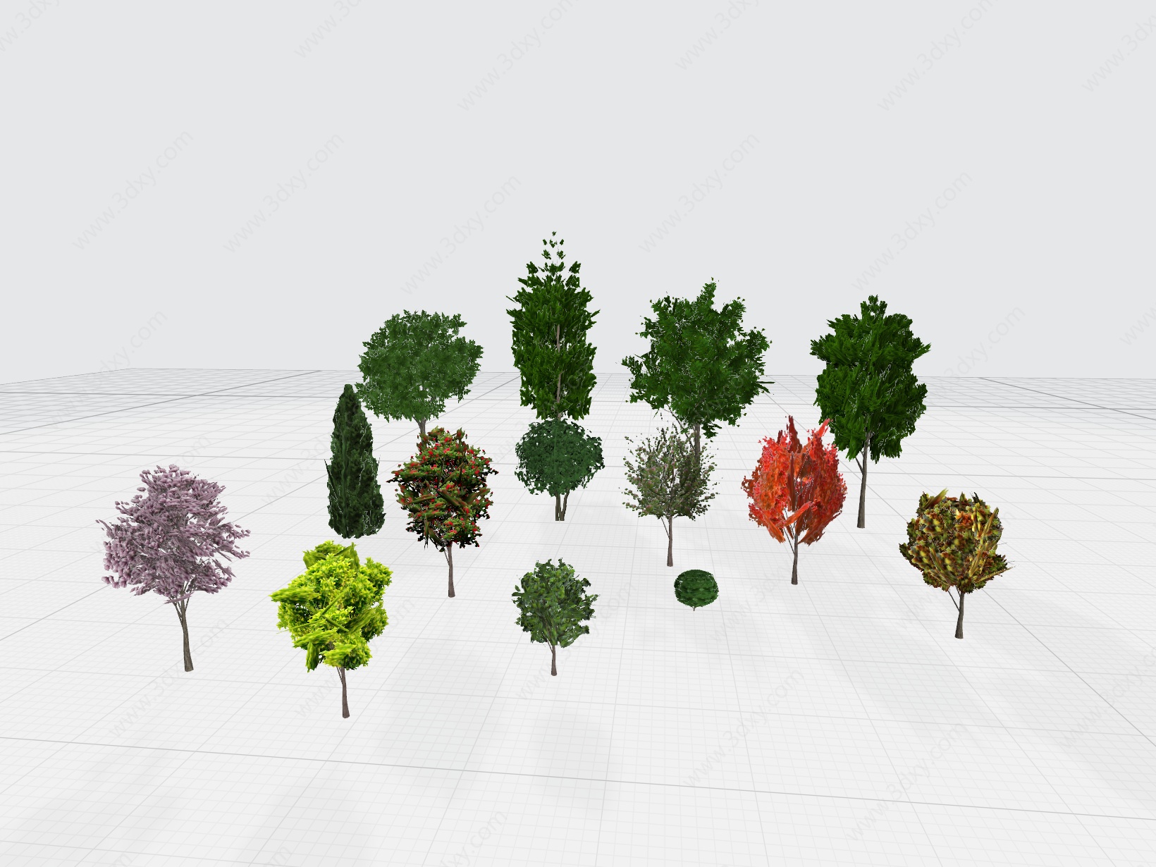 简模园区道路种植绿植大树3D模型
