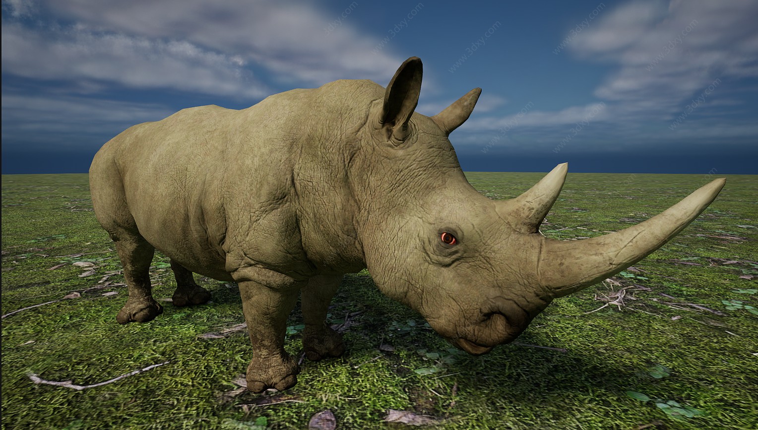 野生非洲草原素食动物犀牛3D模型