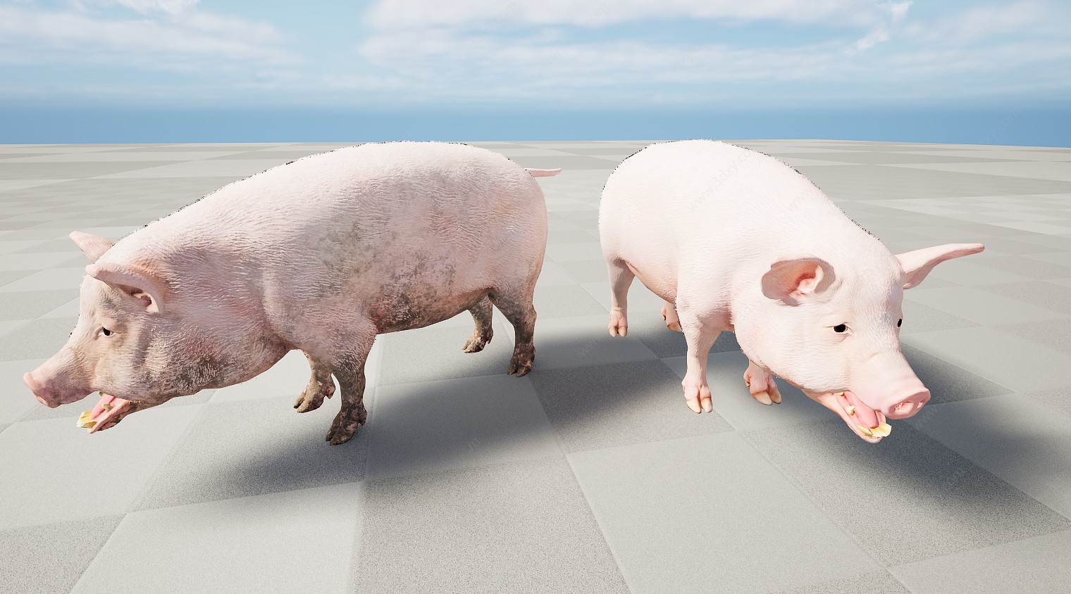 家禽动物猪3D模型
