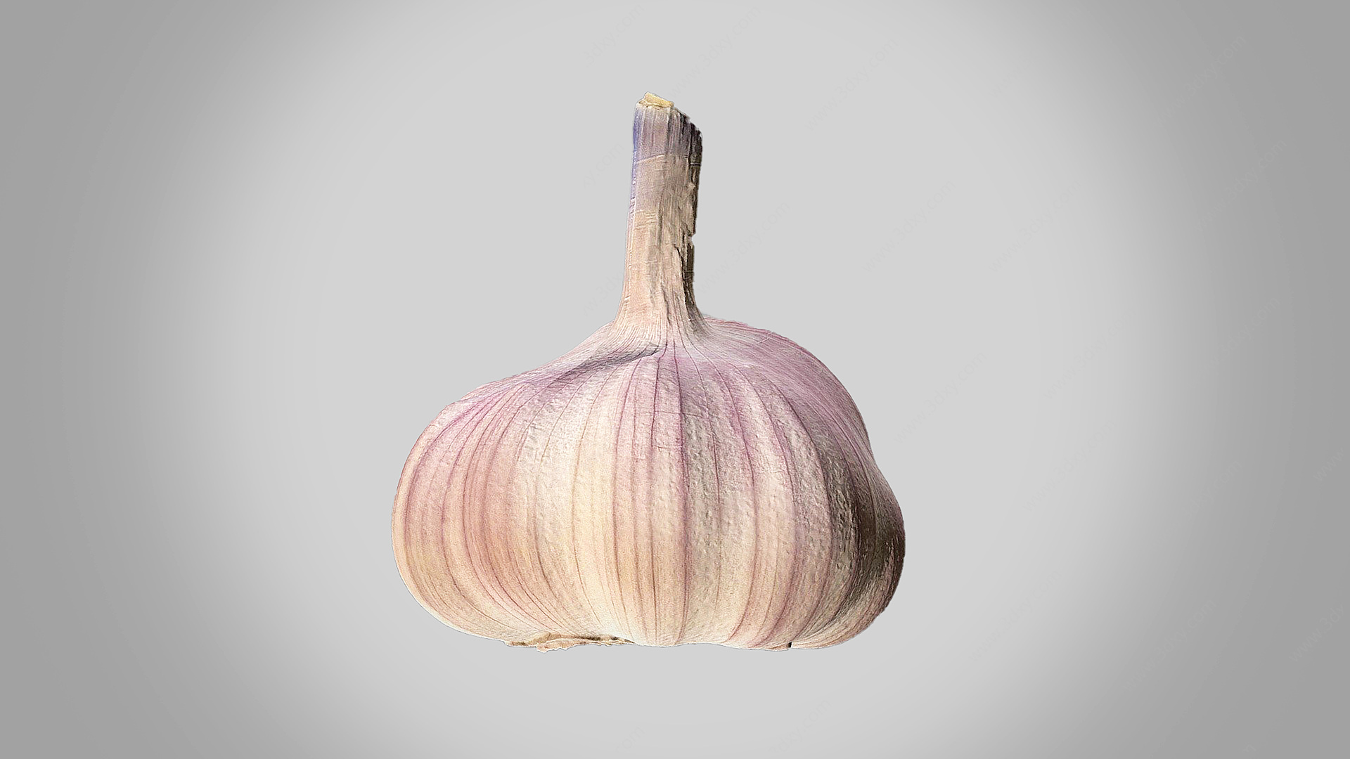 蔬菜调料调味品大蒜蒜头3D模型