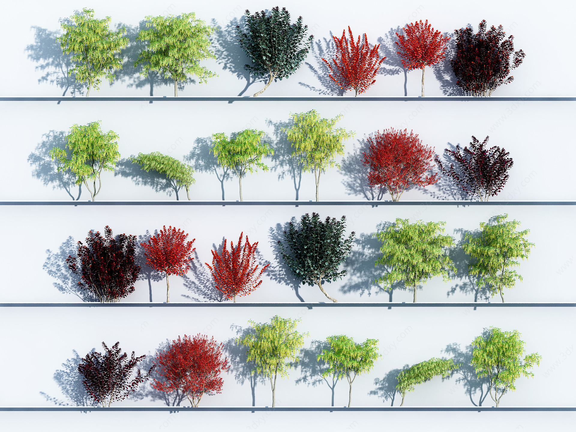 植物绿植树木组合3D模型