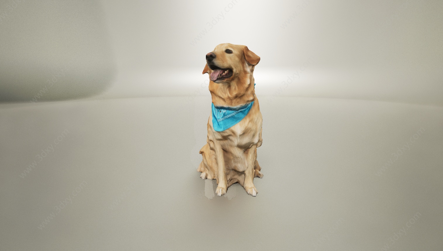 动物宠物犬类金毛狗狗3D模型