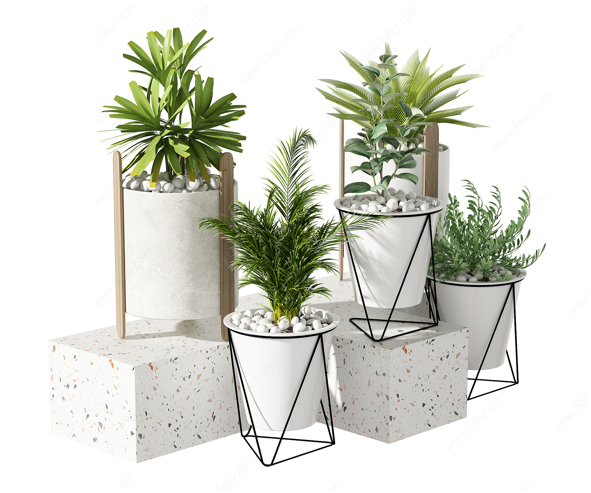 绿植植物盆栽3D模型