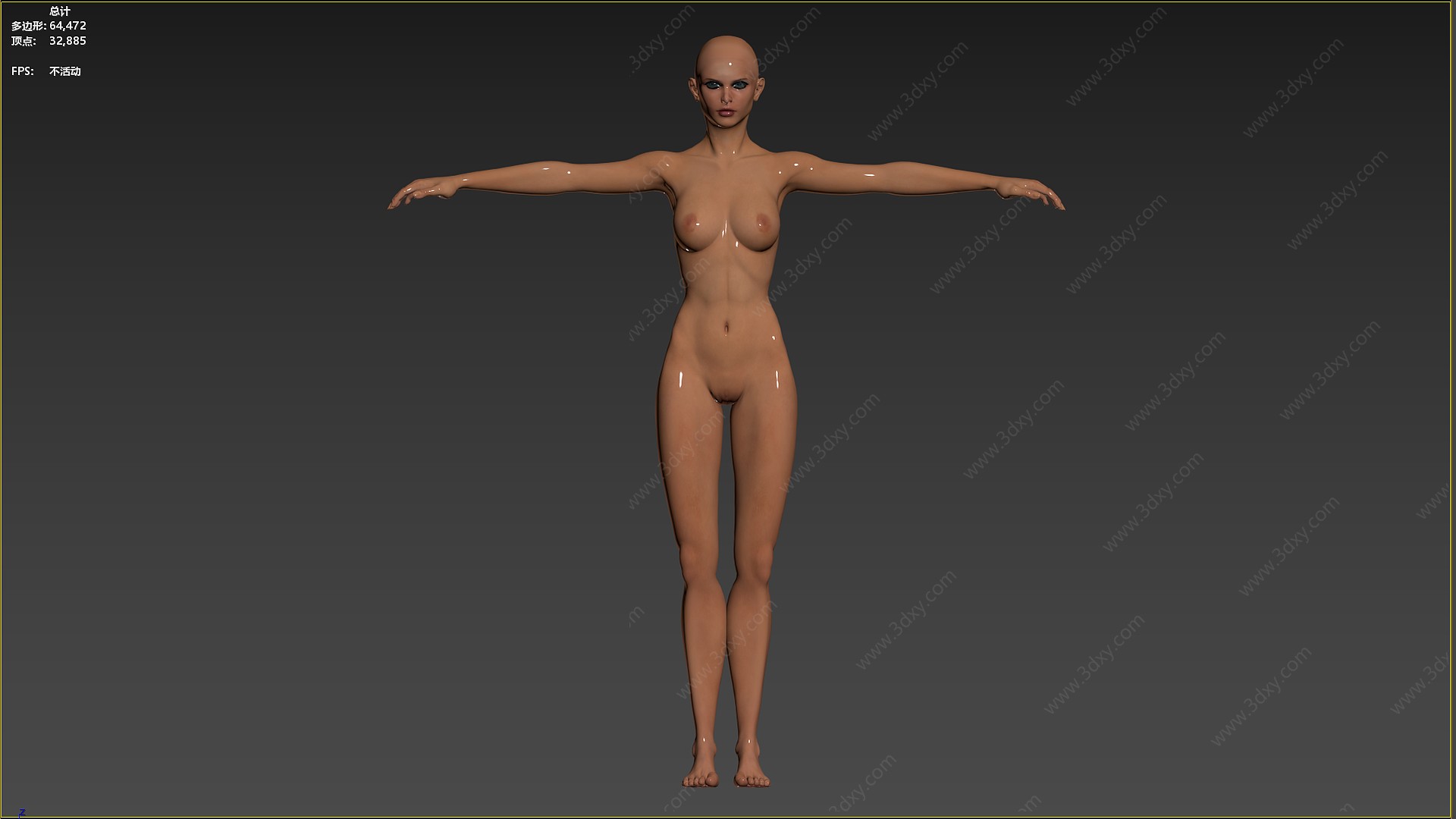 次时代高模女体型3D模型