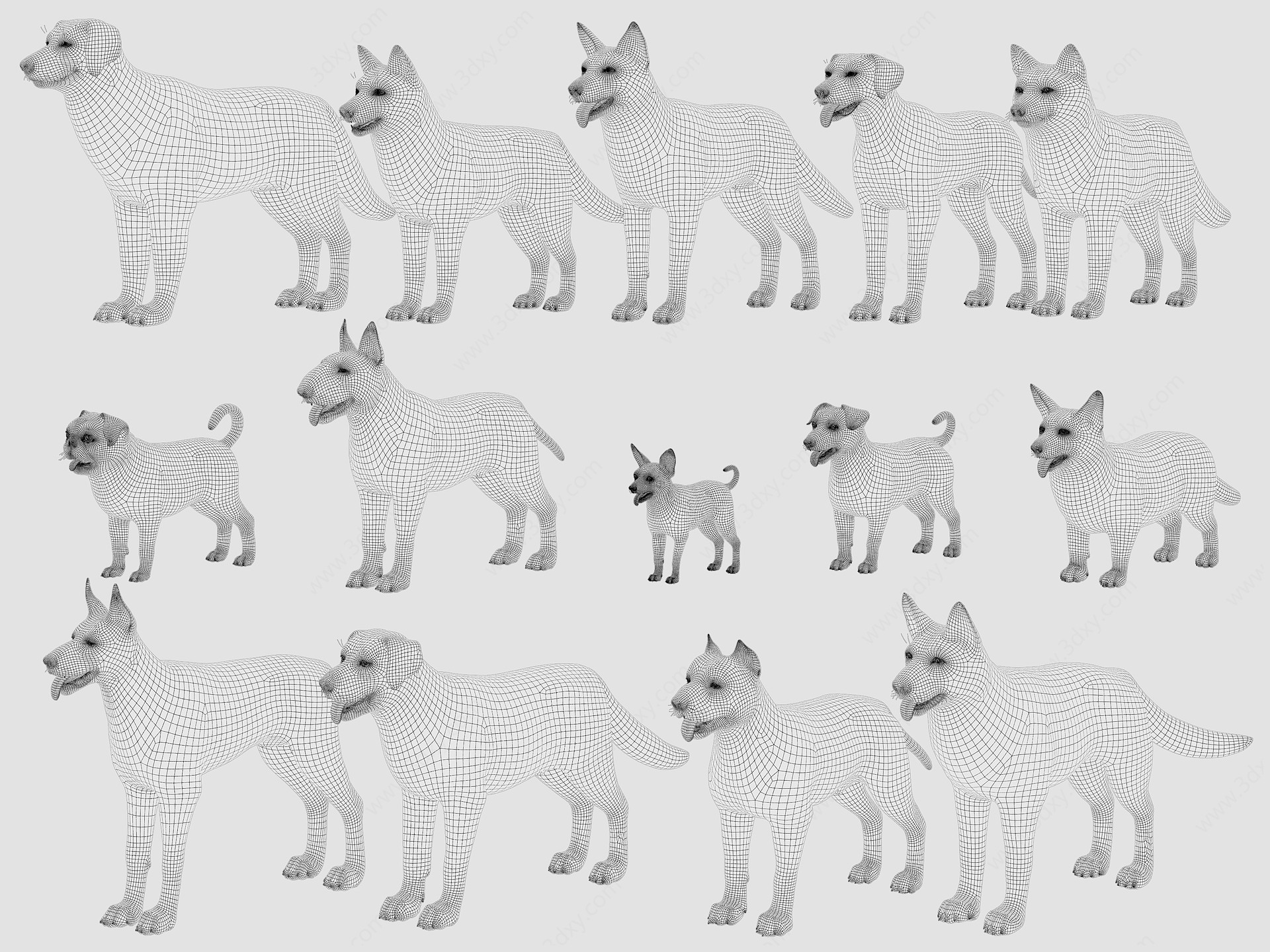宠物狗合集3D模型