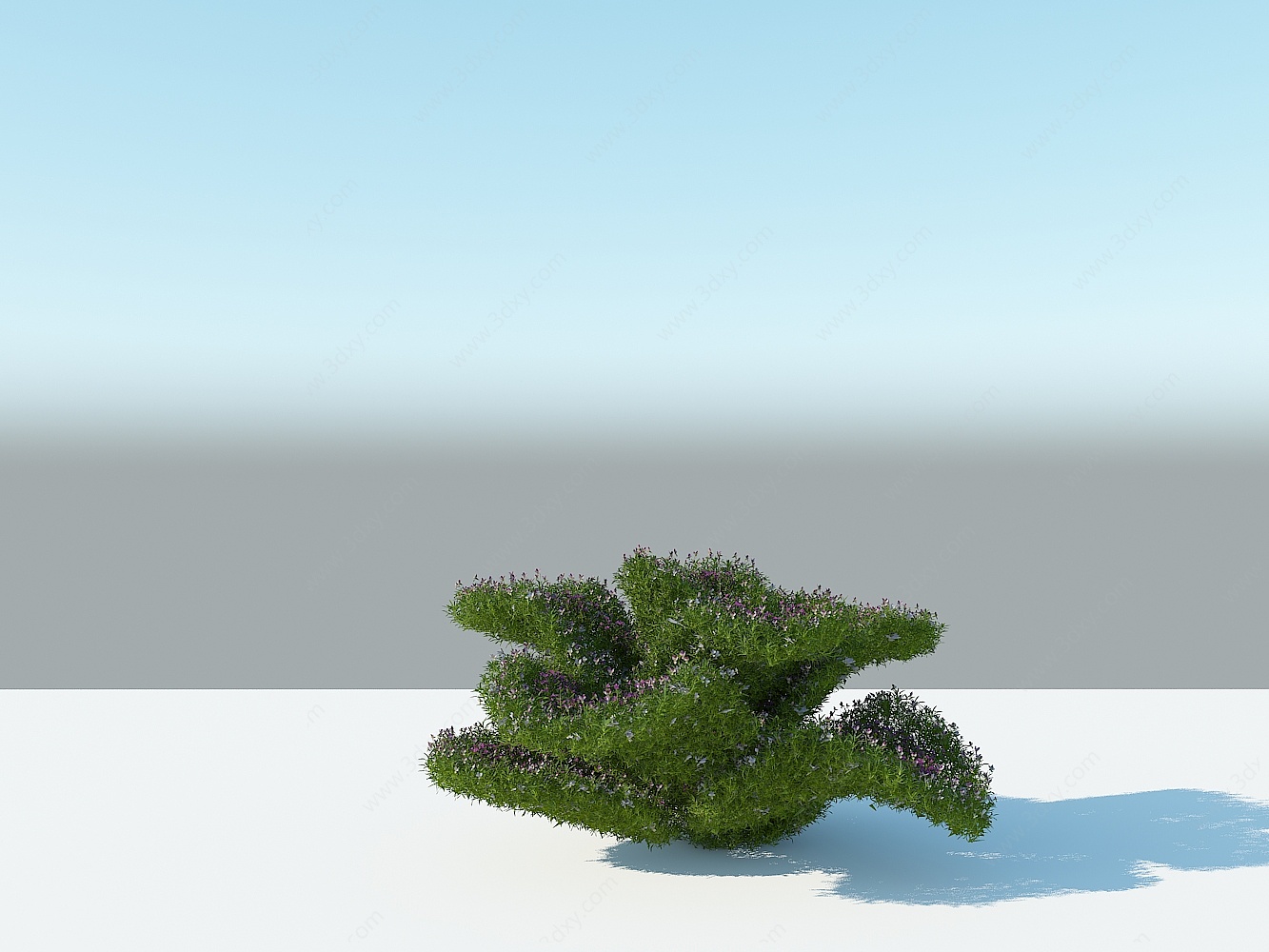 植物雕塑松子乌龟3D模型