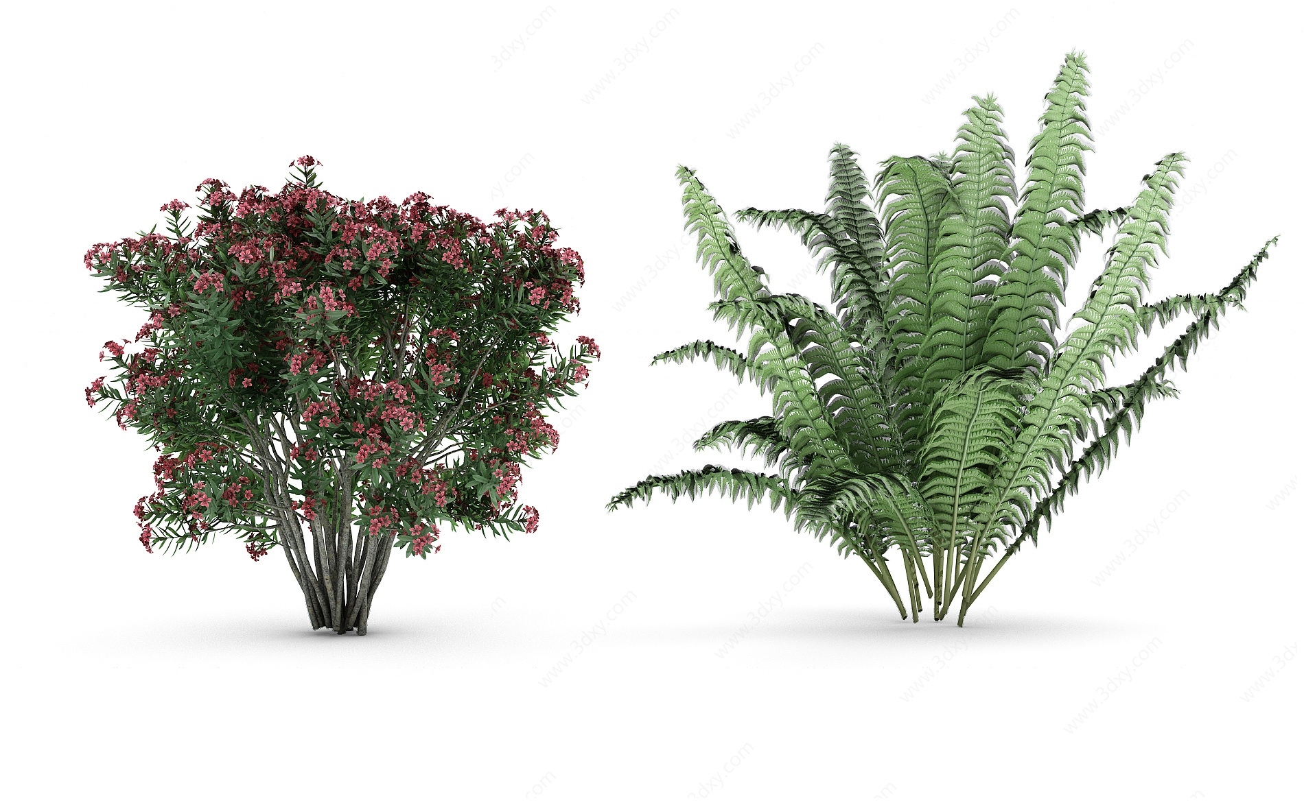 灌木花草 树3D模型