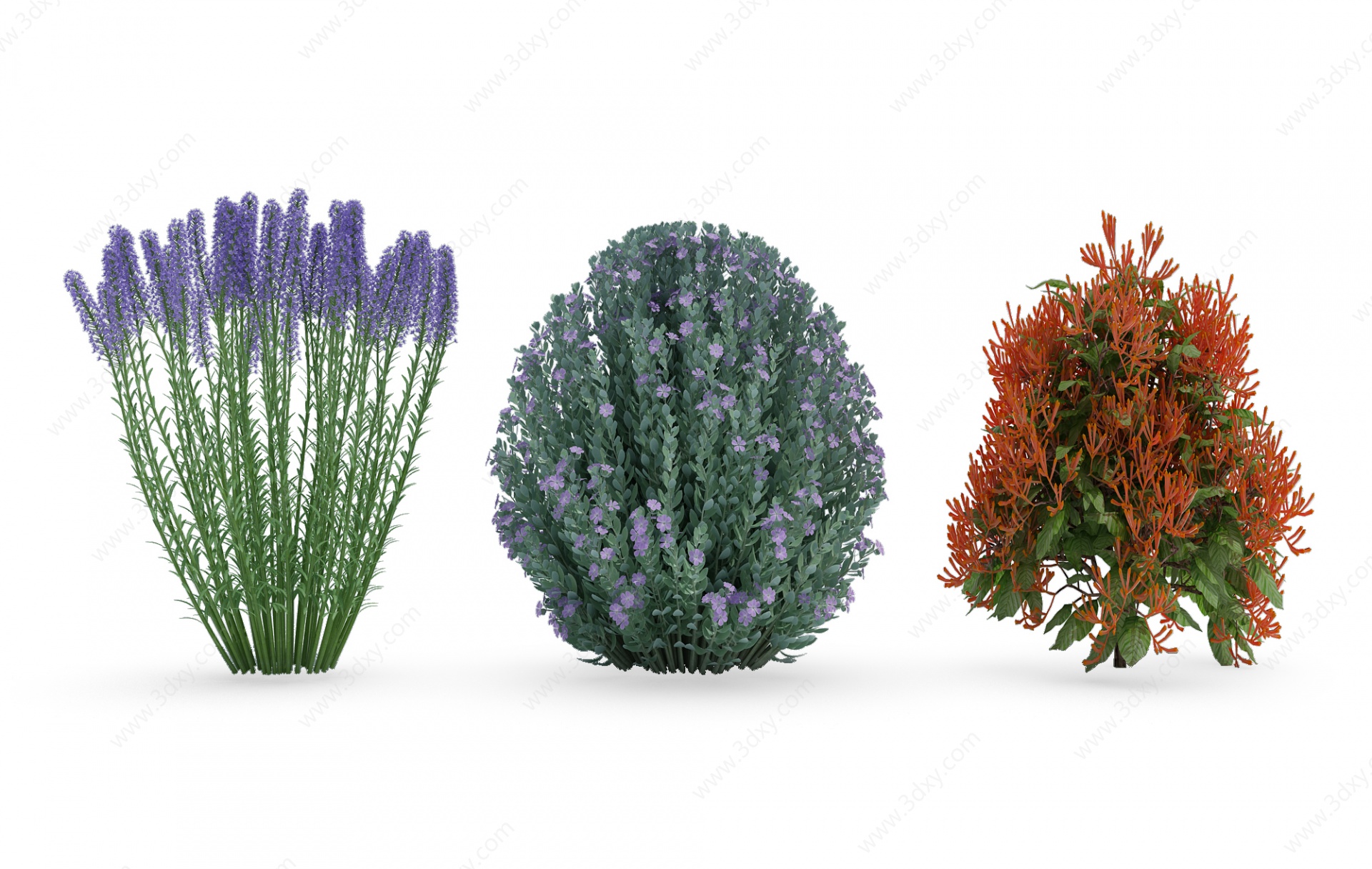 植物灌木丛景观草花3D模型