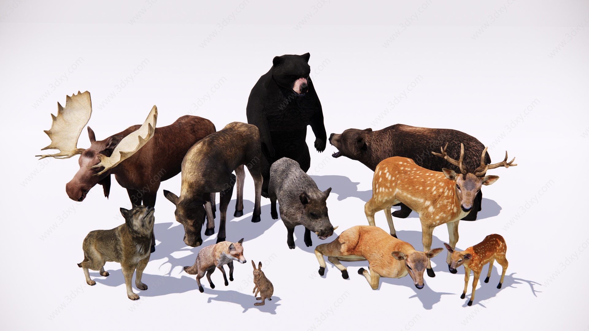 森林动物爬行动物鹿狼熊3D模型
