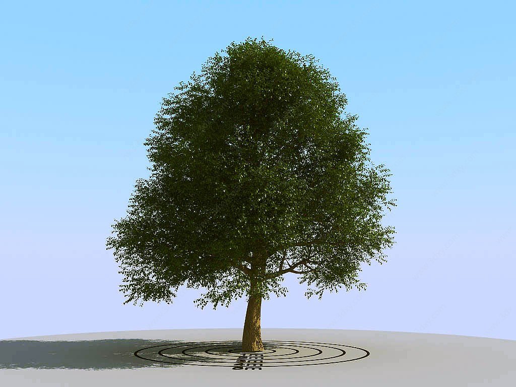 现代景观植物树3D模型