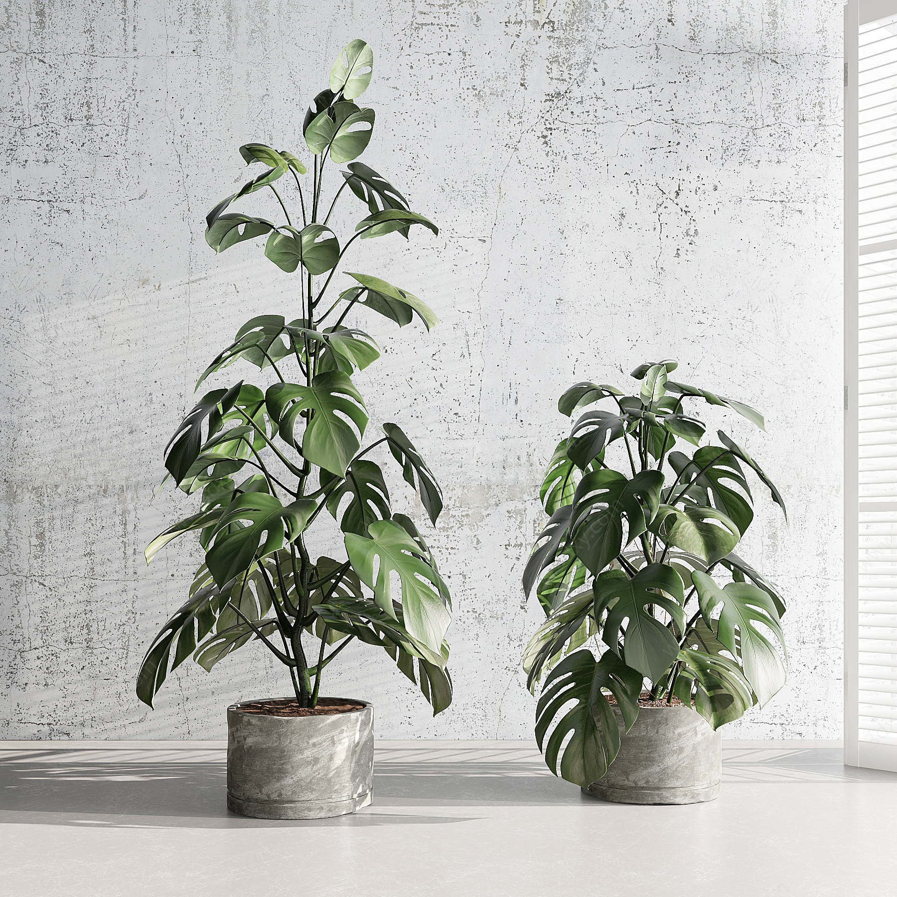 现代绿植盆栽3D模型3D模型