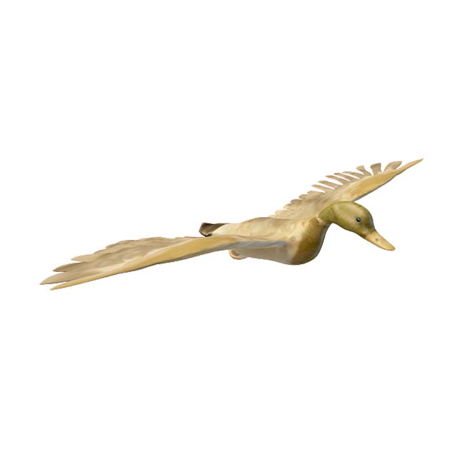 鸭子3D模型