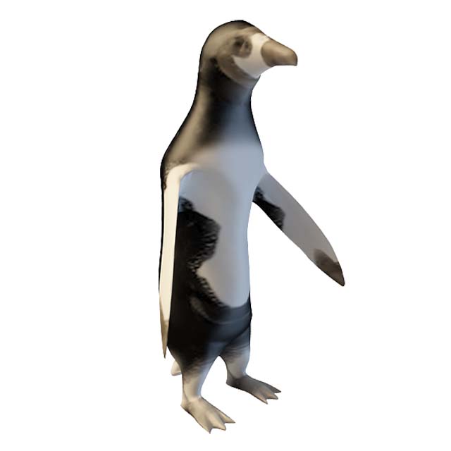 企鹅3D模型