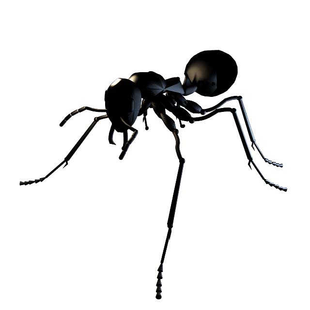 蚂蚁3D模型