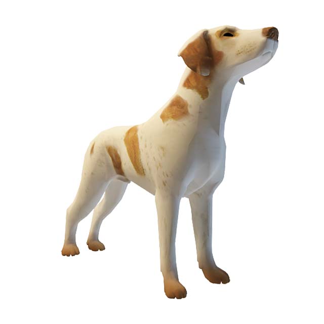 小狗3D模型