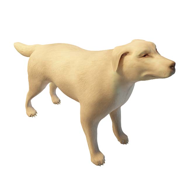狼狗3D模型