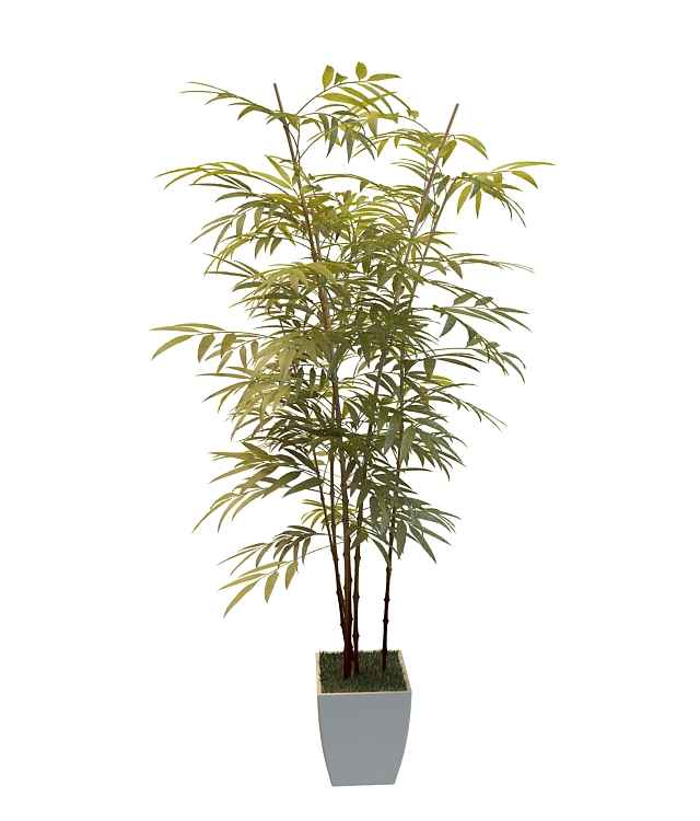 盆栽景观竹子3D模型