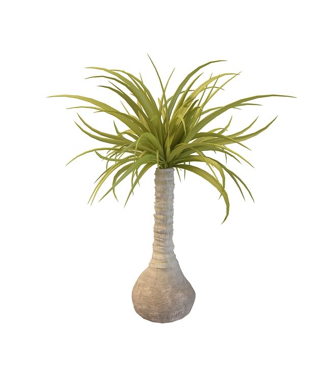 绿植花瓶3D模型