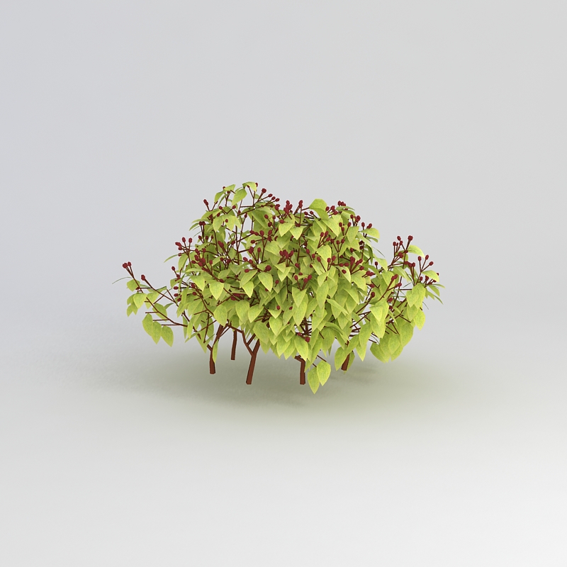绿叶丛生灌木3D模型