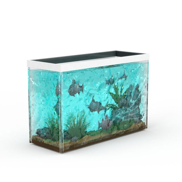 高清玻璃鱼缸