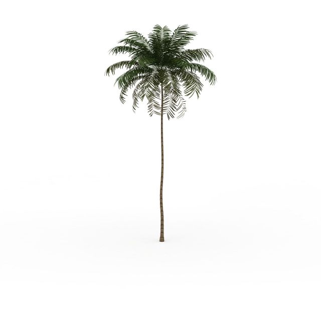 绿色椰子树3d模型(1)