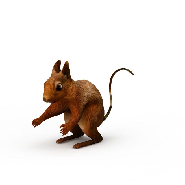 3d棕色小老鼠玩具模型