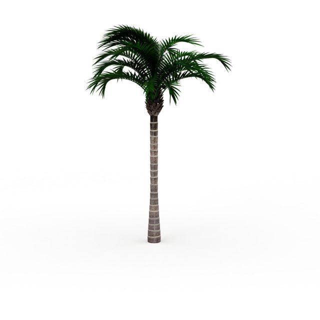 植物3d模型 树3d模型 椰子树3d模型  我要收藏 2000*2000像素的png