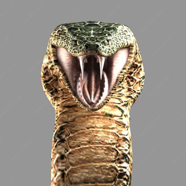 原创蟒蛇3d模型   关键词:3d爬行动物模型3d蛇模型3d蟒蛇模型3d大蛇