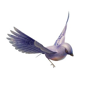 渐变紫色小鸟3d模型