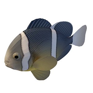 深海鱼3d模型