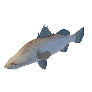 海鱼3d模型