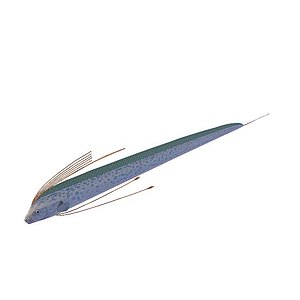 火箭鱼3d模型