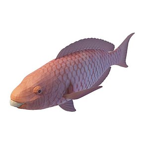 鱼类3d模型