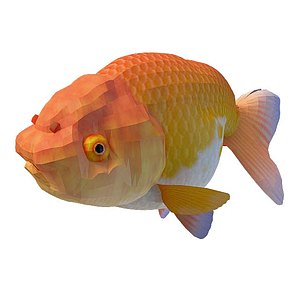 金黄鱼3d模型